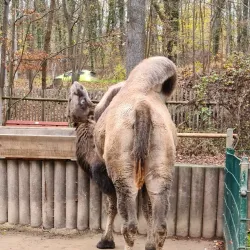 Tierpark Gera - Gera