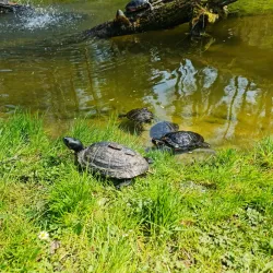 Tierpark Gera - Gera