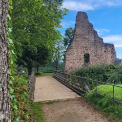 Gerolstein Castle (Burg Gerolstein) - Gerolstein