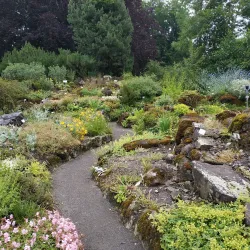 Botanischer Garten Gießen (Botanical Garden) - Giessen