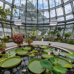 Botanischer Garten Gießen (Botanical Garden) - Giessen