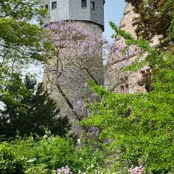 Botanischer Garten Gießen (Botanical Garden) - Giessen