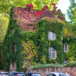 Botanischer Garten Gießen (Botanical Garden) - Giessen