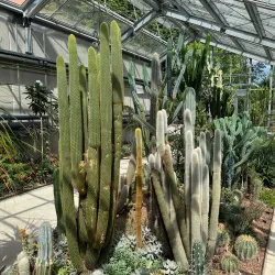 Botanischer Garten Gießen (Botanical Garden) - Giessen