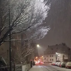 Justus Liebig University Giessen - Giessen