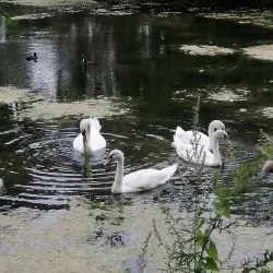 Wieseck River Promenade - Giessen