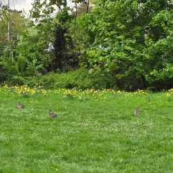 Wieseck River Promenade - Giessen