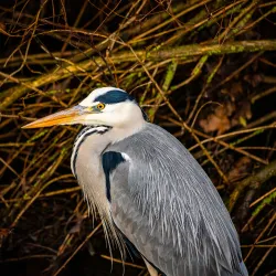 Wieseck River Promenade - Giessen