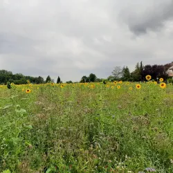 Wieseck River Promenade - Giessen