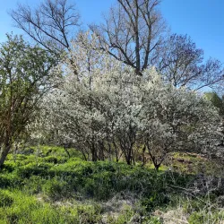 Wieseck River Promenade - Giessen