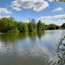 Wieseckaue Park - Giessen