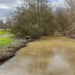 Wieseckaue Park - Giessen