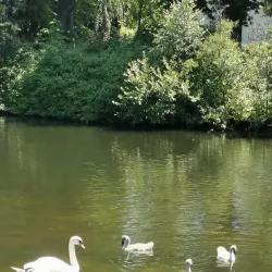 Wieseckaue Park - Giessen