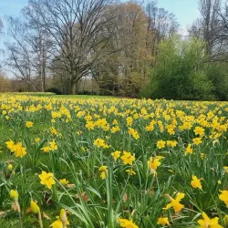 Wieseckaue Park - Giessen