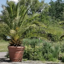 Wieseckaue Park - Giessen