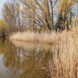 Wieseckaue Park - Giessen