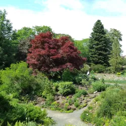 Botanical Garden of the University of Göttingen - Goettingen