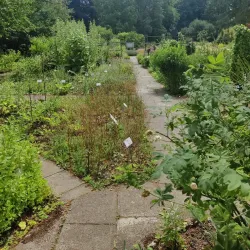 Botanical Garden of the University of Göttingen - Goettingen