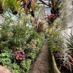 Botanical Garden of the University of Göttingen - Goettingen