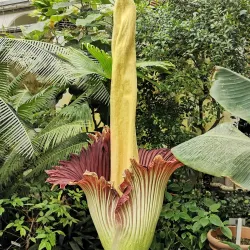 Botanical Garden of the University of Göttingen - Goettingen