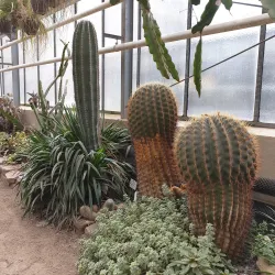 Botanical Garden of the University of Göttingen - Goettingen