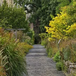 Botanical Garden of the University of Göttingen - Goettingen
