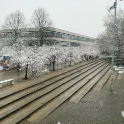 Georg-August University of Göttingen - Goettingen