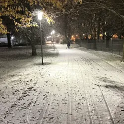 Georg-August University of Göttingen - Goettingen