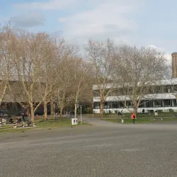 Georg-August University of Göttingen - Goettingen