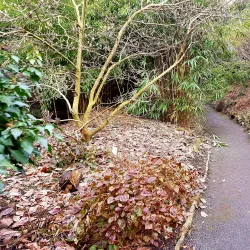 Kunstsammlung der Universität Göttingen (University Art Collection) - Goettingen