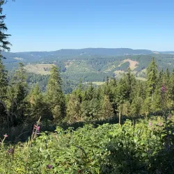 Thuringian Forest Nature Park (near Gotha) - Gotha