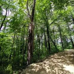 Hohenstaufen Castle Ruins - Göppingen