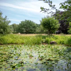 Botanischer Garten Gütersloh - Gütersloh