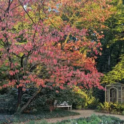 Botanischer Garten Gütersloh - Gütersloh
