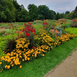 Dalkepütz Park - Gütersloh