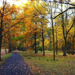 Dalkepütz Park - Gütersloh