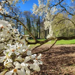 Dalkepütz Park - Gütersloh