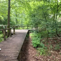 Ems River Walk - Gütersloh