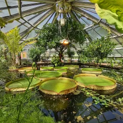 Botanischer Garten Halle (Botanical Garden) - Halle