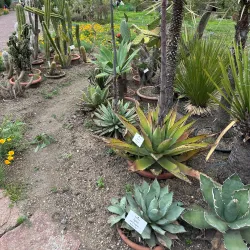 Botanischer Garten Halle (Botanical Garden) - Halle