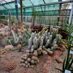 Botanischer Garten Halle (Botanical Garden) - Halle