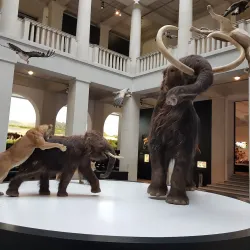 Halle State Museum of Prehistory (Landesmuseum für Vorgeschichte) - Halle