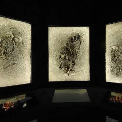 Halle State Museum of Prehistory (Landesmuseum für Vorgeschichte) - Halle