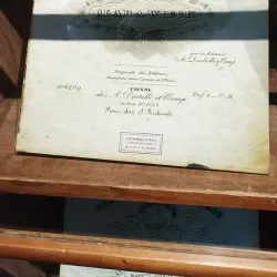 Wilhelm-Friedemann-Bach House - Halle