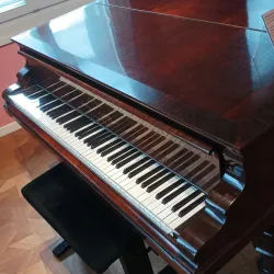 Wilhelm-Friedemann-Bach House - Halle