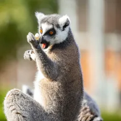 Hamm Zoo (Tierpark Hamm) - Hamm