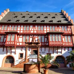Goldsmiths' House (Goldschmiedehaus) - Hanau