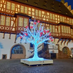 Goldsmiths' House (Goldschmiedehaus) - Hanau