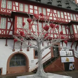 Goldsmiths' House (Goldschmiedehaus) - Hanau