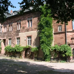 Schloss Steinheim - Hanau